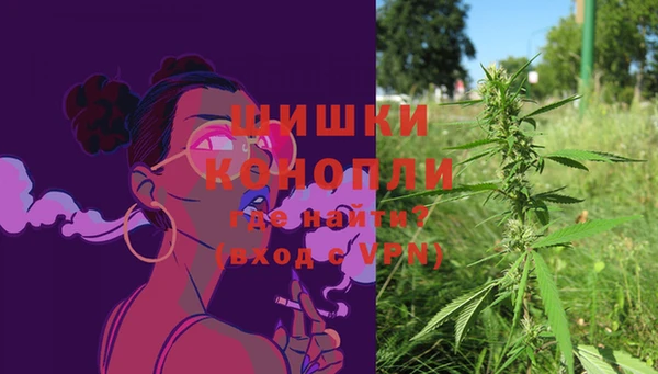 apvp Новозыбков