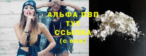 apvp Новозыбков