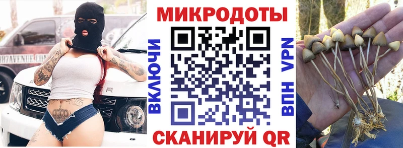 Купить  Козьмодемьянск  Псилоцибиновые грибы Cubensis 